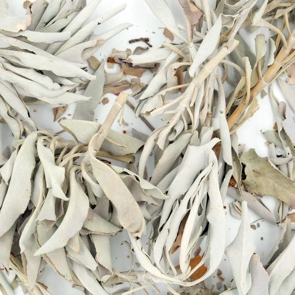 Salvia bianca a foglie - 50 gr